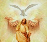 Divine Will Divine Love - TELEGRAM Channel -  