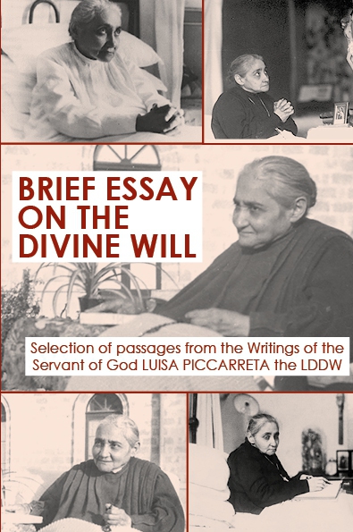 Brief Essay on the Divine Will  - download