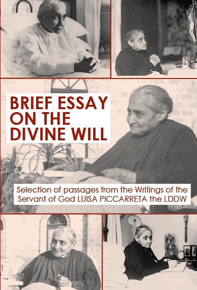 Brief Essay on the Divine Will  - download